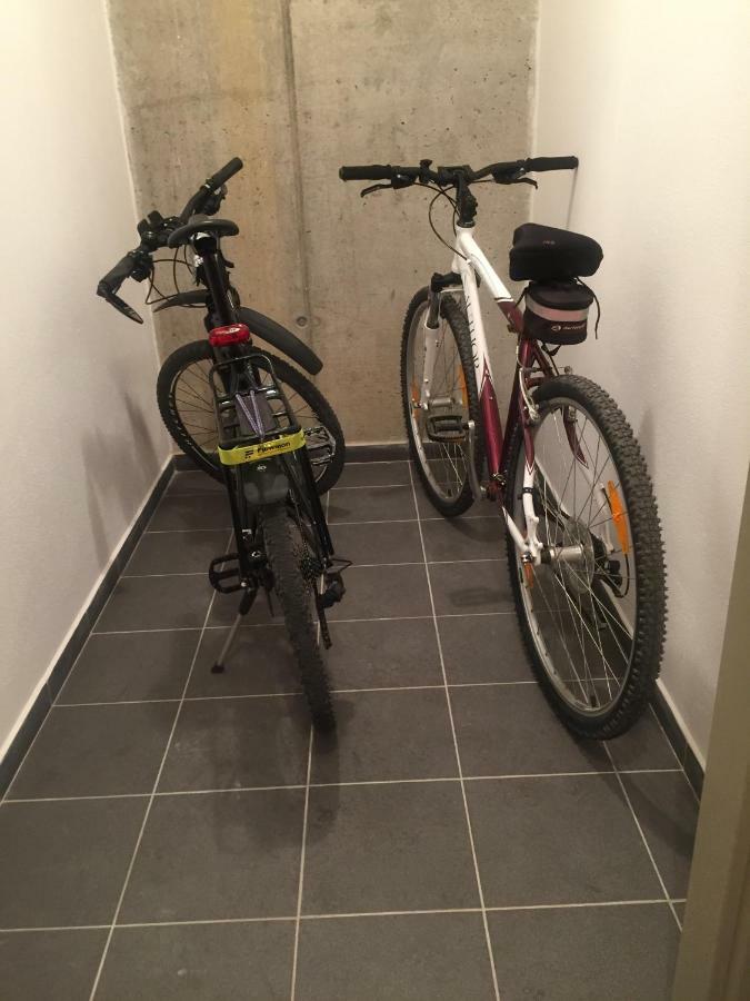 Apartman “U Nas V Podkrovi“ V Rezidenci Klostermann, Zelezna Ruda 24 Εξωτερικό φωτογραφία